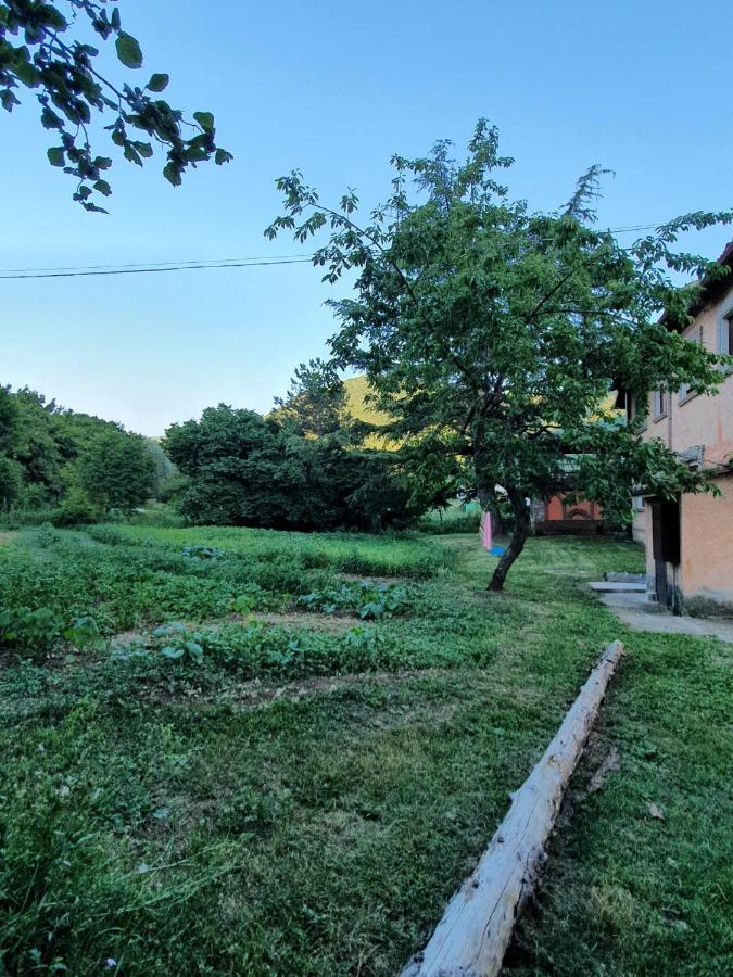 B&B Calecatine Rocca di Botte Exterior photo